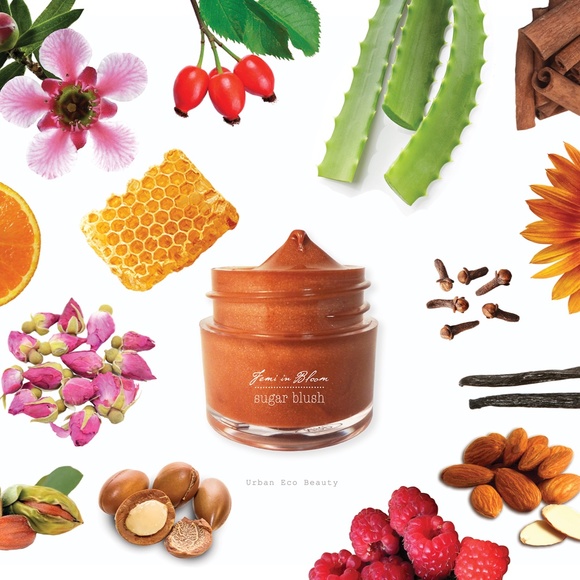 Rosy Mauve Sheer Tint Organic Lip Gloss Plumper Treatment - Picture 4 of 15